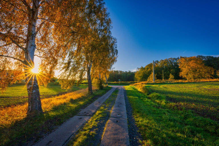 Herbst in Buschvitz auf Rügen