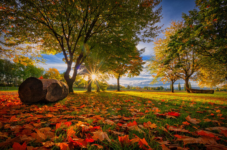 Herbstfarben