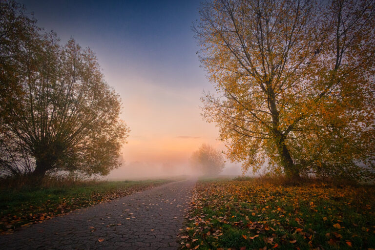 Herbststimmung am großen Weserbogen